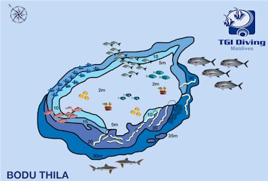 Bodu Thila (North Ari - east)